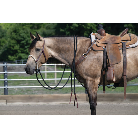 Loping Hackamore Leather Hanger with Mecate Rein