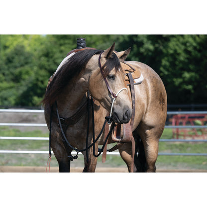 Loping Hackamore Leather Hanger with Mecate Rein