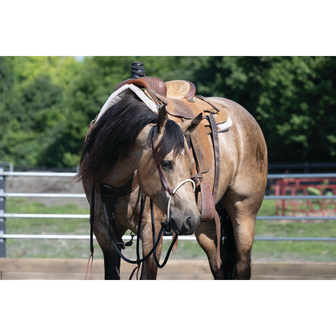 Loping Hackamore Leather Hanger with Mecate Rein