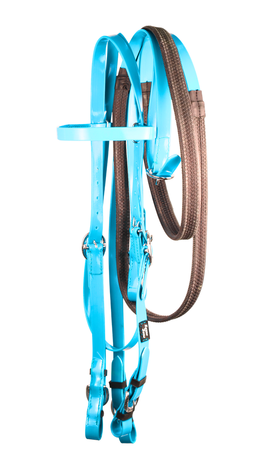 iothane Combo Cabezada y Incluye rienda ( SON DOS ARTICULOS )Juego de Cabezada y Rienda en Biothane